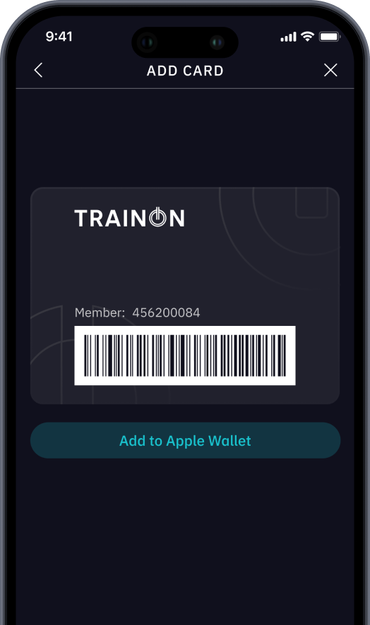 Mobile payment interface
